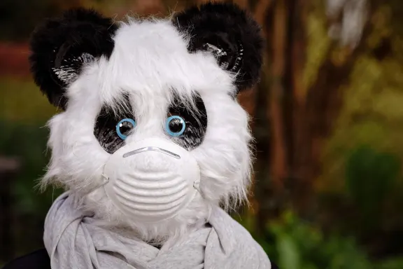 NoxWin Casino Kundeservice